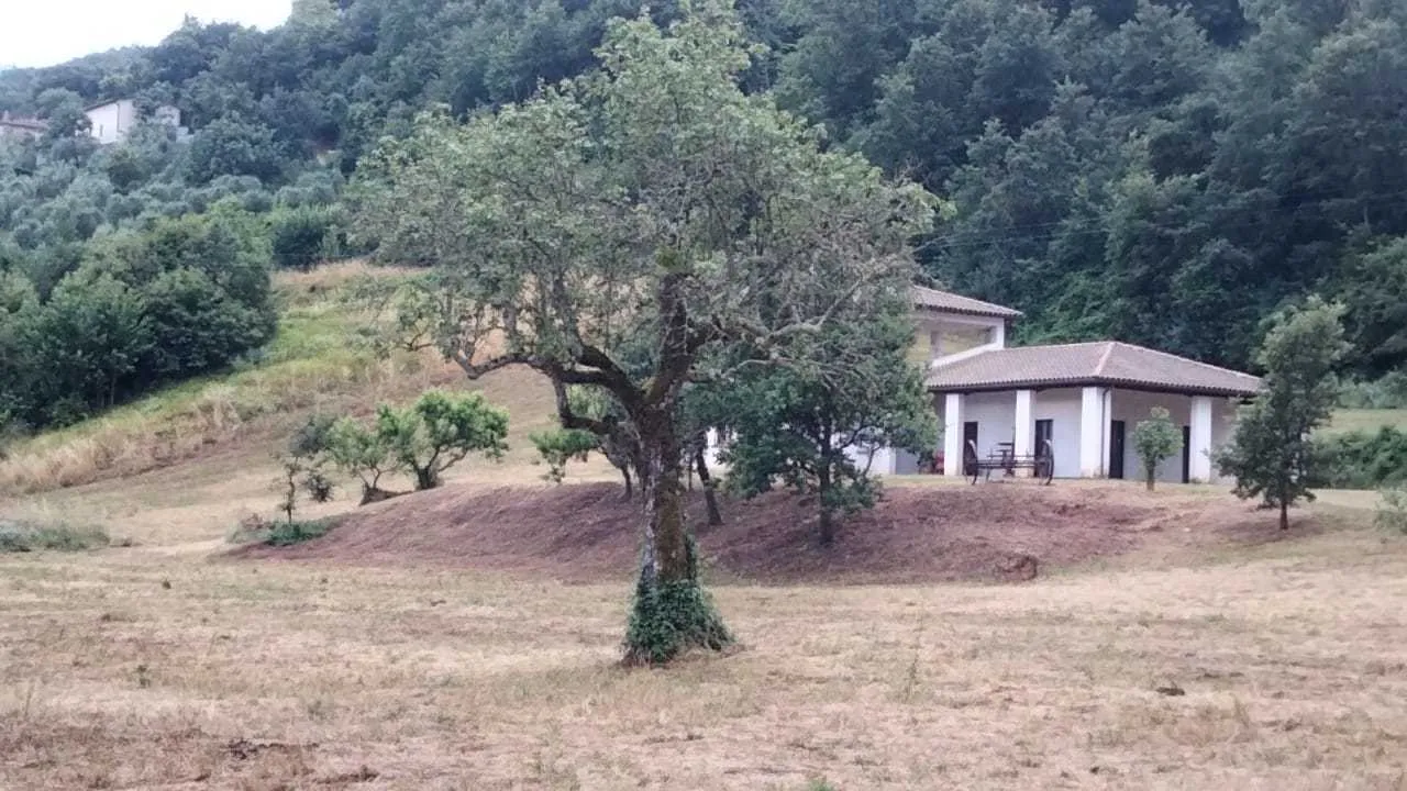 Foto 7 di 17 - Casa indipendente in vendita a Guardea