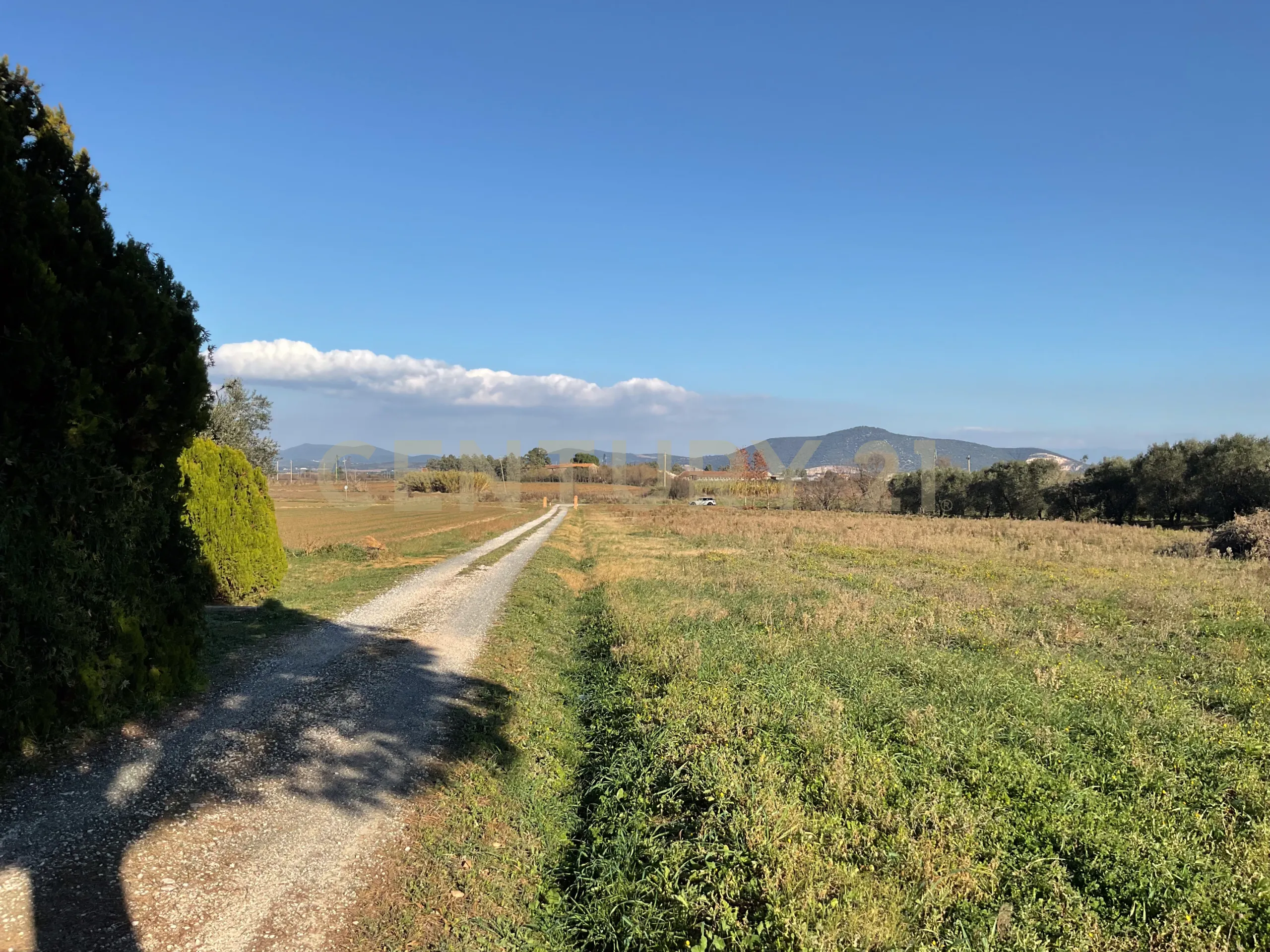 Foto 10 di 34 - Casa indipendente in vendita a Grosseto