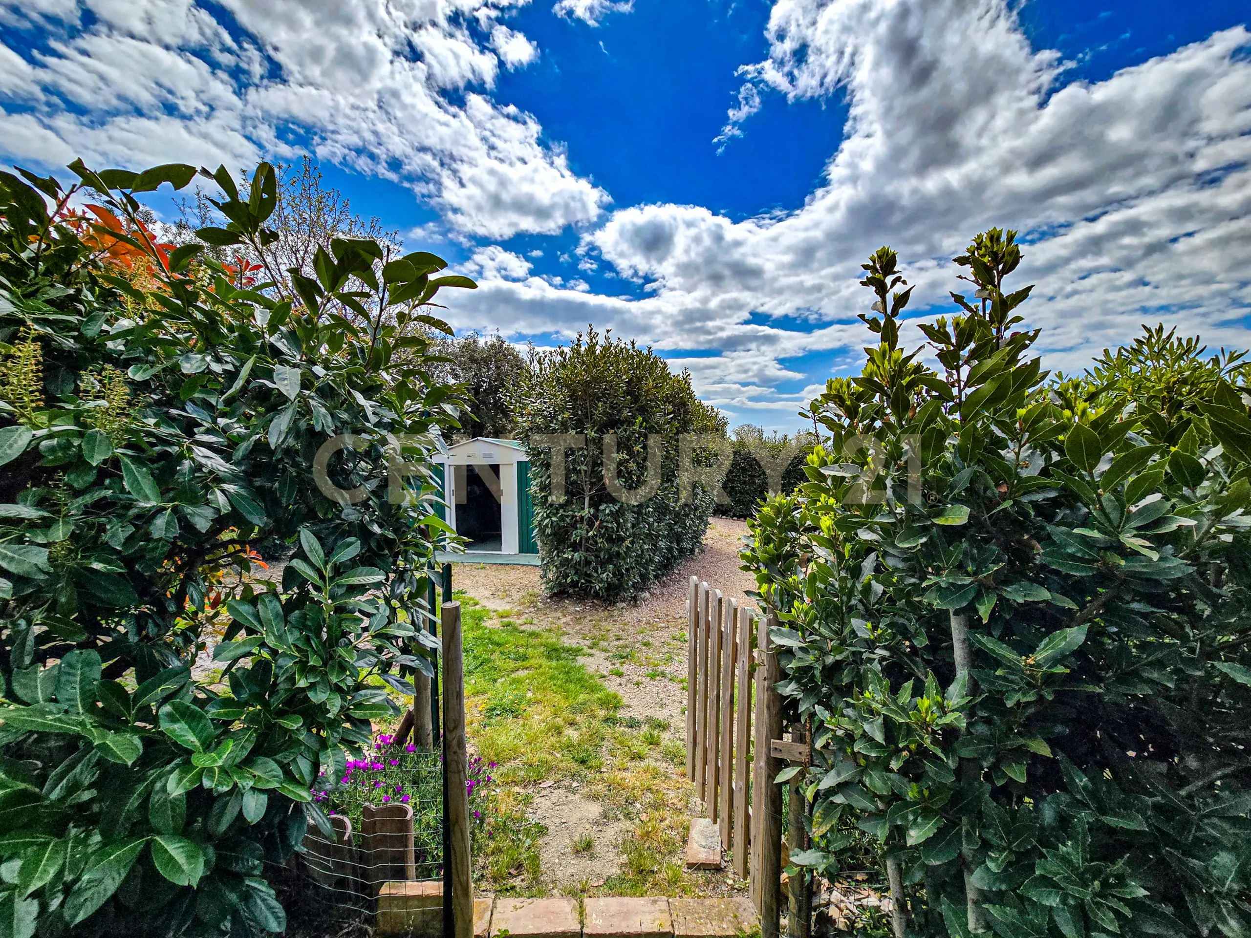 Foto 4 di 24 - Casa indipendente in vendita a Civitella Paganico