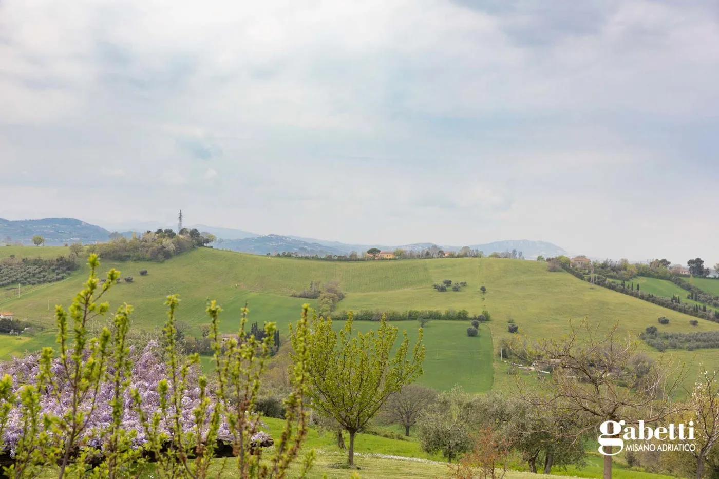 Foto 18 di 25 - Appartamento in vendita a Gradara