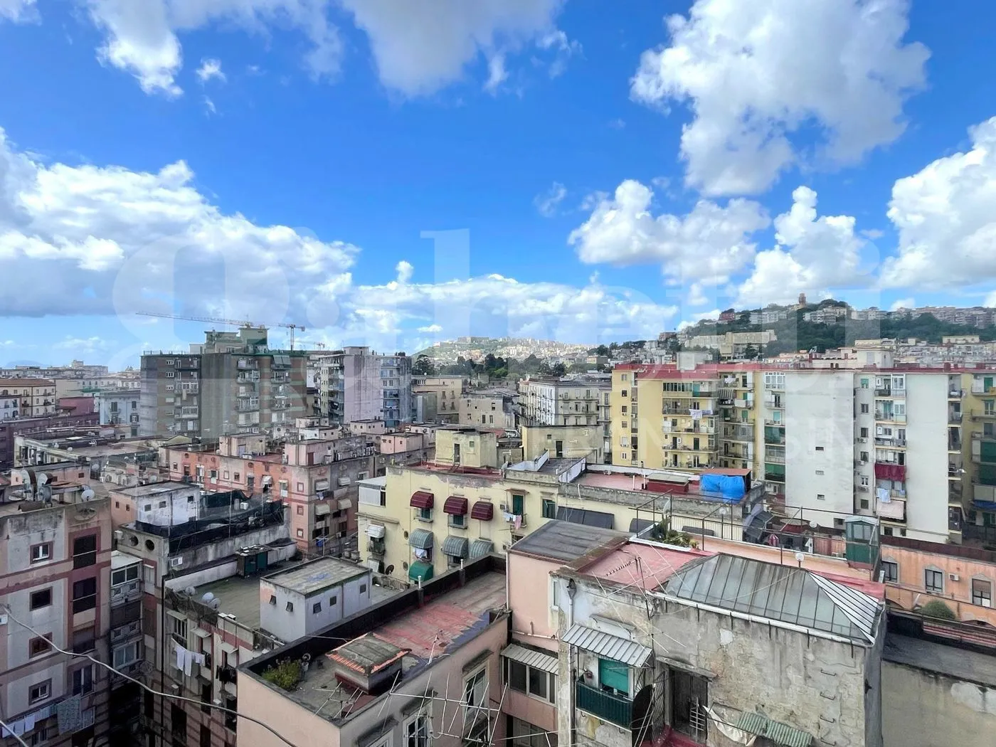 Foto 11 di 11 - Appartamento in vendita a Napoli