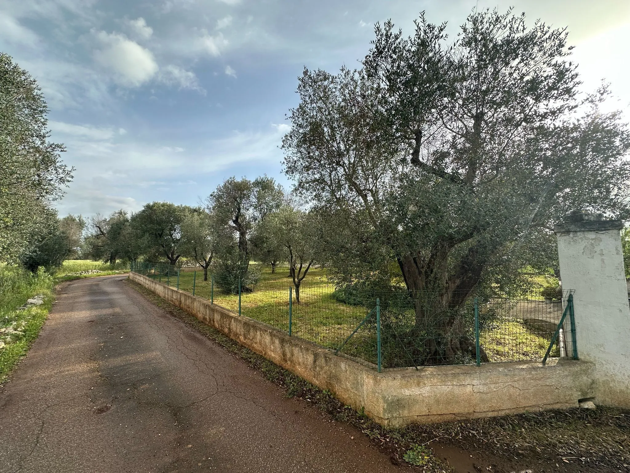 Foto 9 di 16 - Casa indipendente in vendita a Ostuni