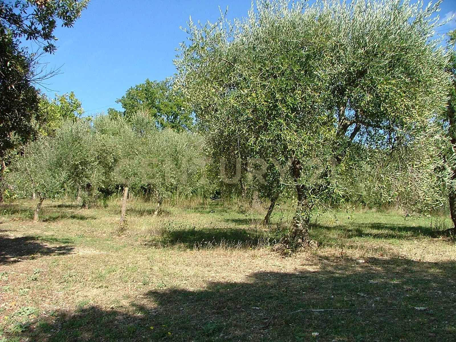 Foto 11 di 65 - Casa indipendente in vendita a Civitella Paganico