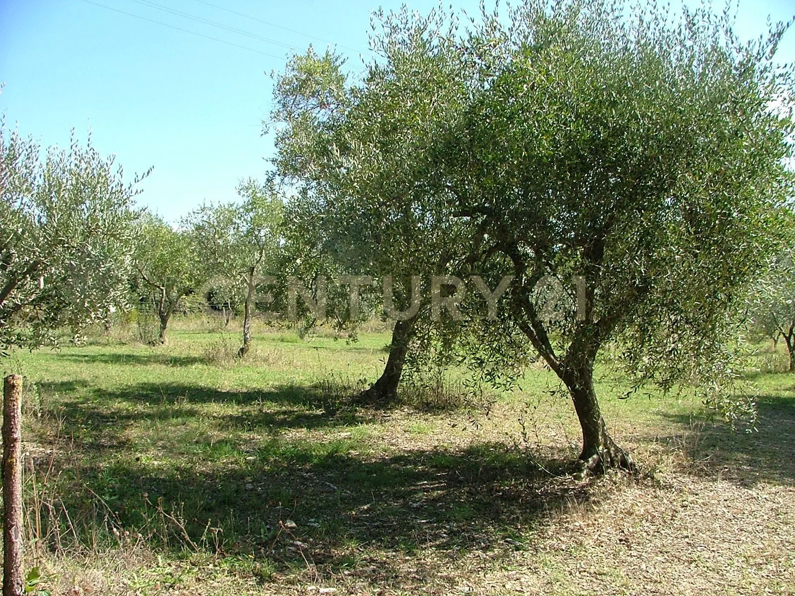 Foto 12 di 65 - Casa indipendente in vendita a Civitella Paganico