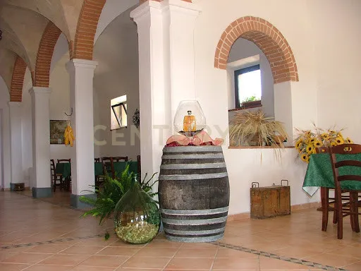 Foto 16 di 65 - Casa indipendente in vendita a Civitella Paganico