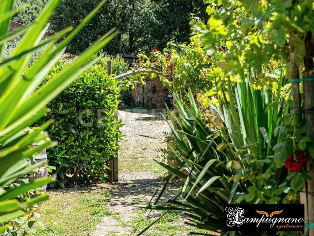 Foto 19 di 65 - Casa indipendente in vendita a Civitella Paganico