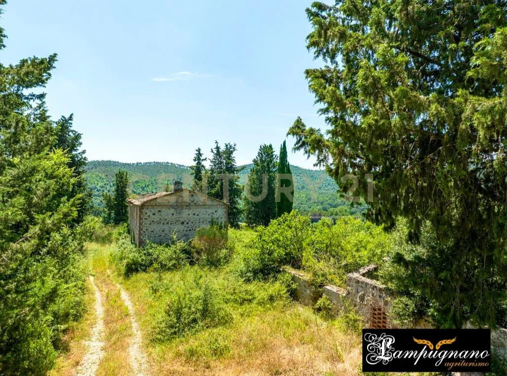 Foto 43 di 65 - Casa indipendente in vendita a Civitella Paganico