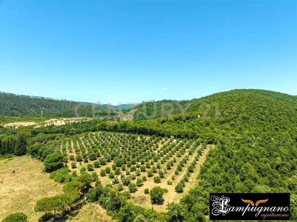 Foto 46 di 65 - Casa indipendente in vendita a Civitella Paganico