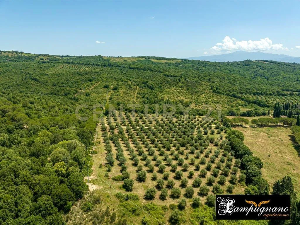 Foto 47 di 65 - Casa indipendente in vendita a Civitella Paganico