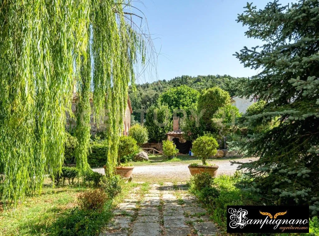 Foto 55 di 65 - Casa indipendente in vendita a Civitella Paganico