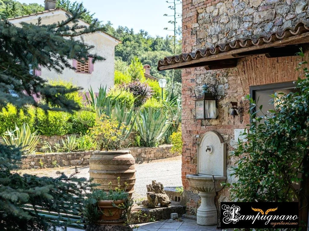 Foto 59 di 65 - Casa indipendente in vendita a Civitella Paganico