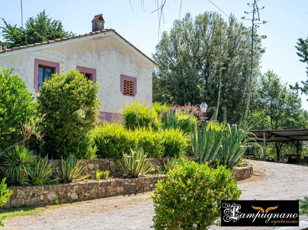 Foto 60 di 65 - Casa indipendente in vendita a Civitella Paganico
