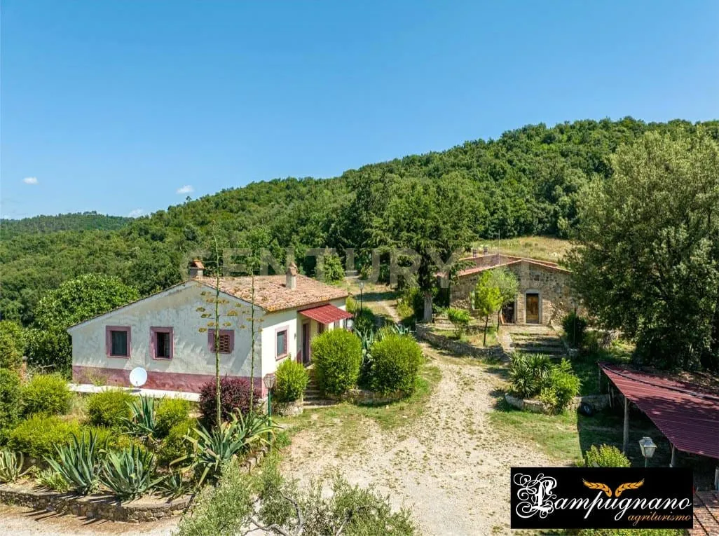 Foto 61 di 65 - Casa indipendente in vendita a Civitella Paganico