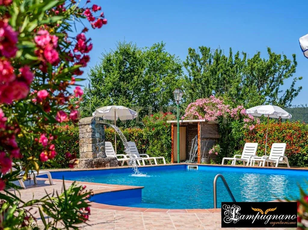 Foto 63 di 65 - Casa indipendente in vendita a Civitella Paganico