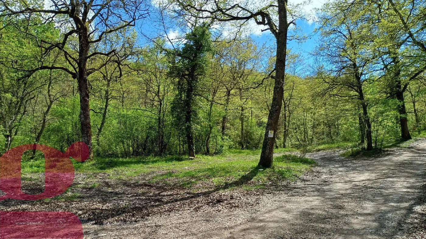 Foto 4 di 36 - Rustico in vendita a San Venanzo