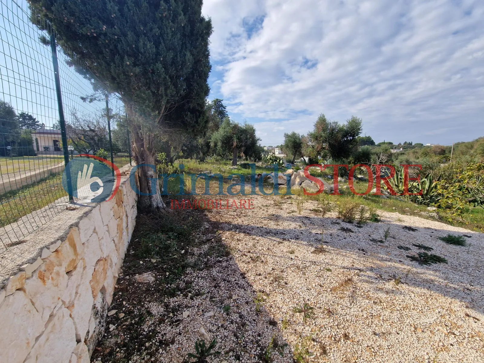 Foto 5 di 22 - Casa indipendente in vendita a Ostuni