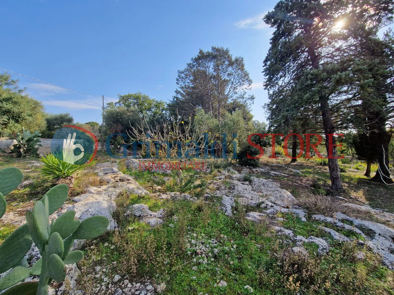 Foto 6 di 22 - Casa indipendente in vendita a Ostuni