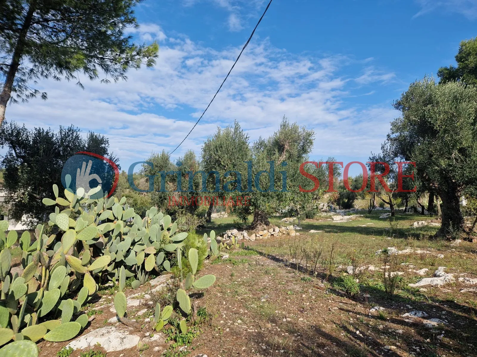 Foto 10 di 22 - Casa indipendente in vendita a Ostuni