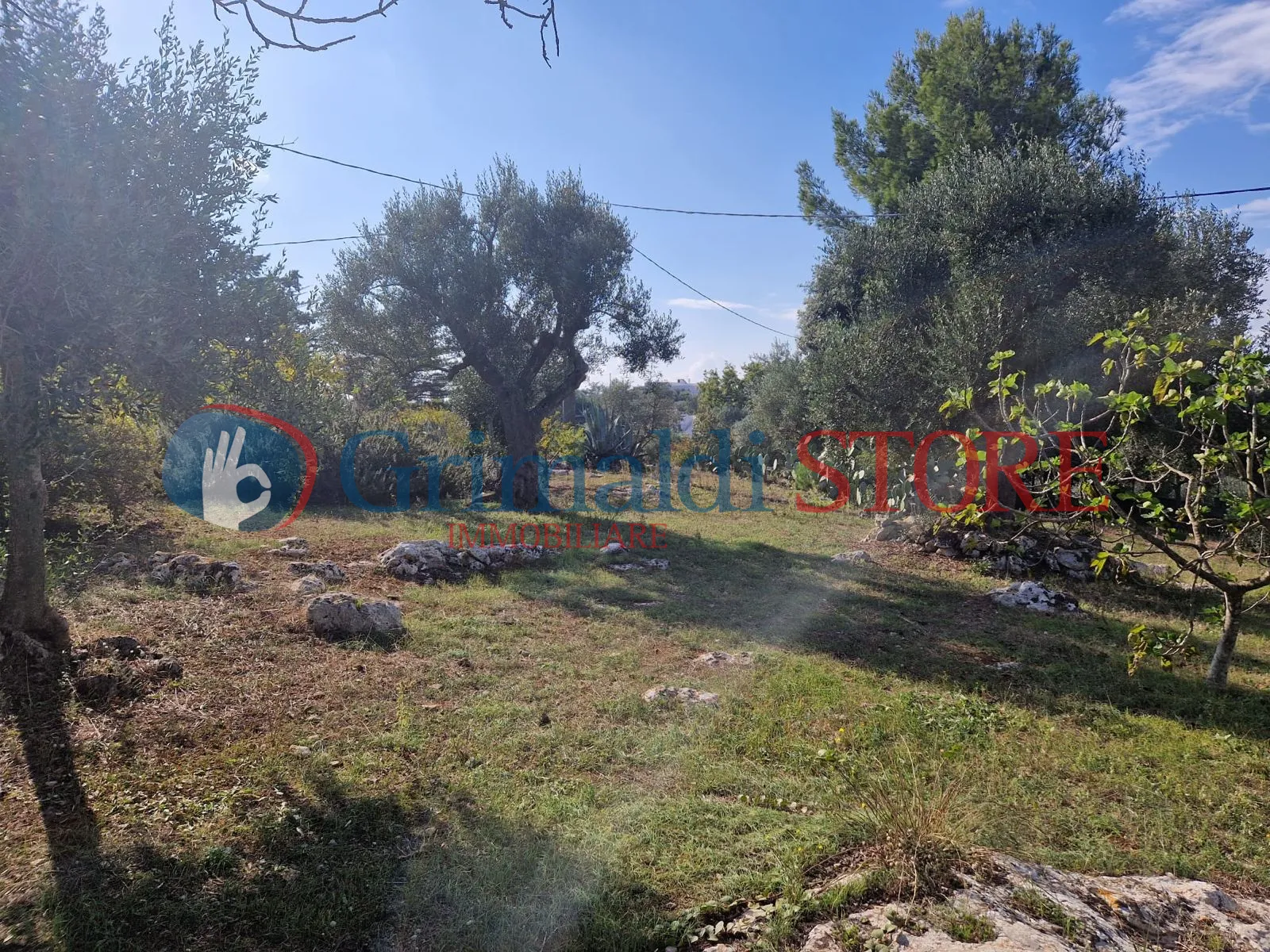 Foto 13 di 22 - Casa indipendente in vendita a Ostuni