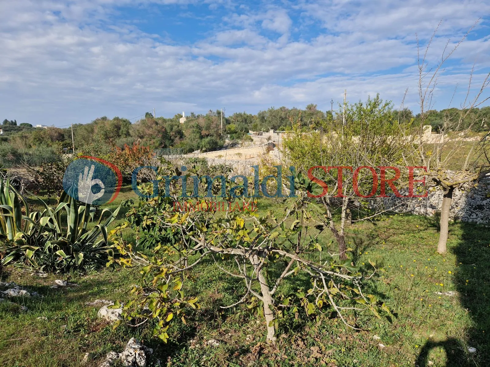 Foto 18 di 22 - Casa indipendente in vendita a Ostuni