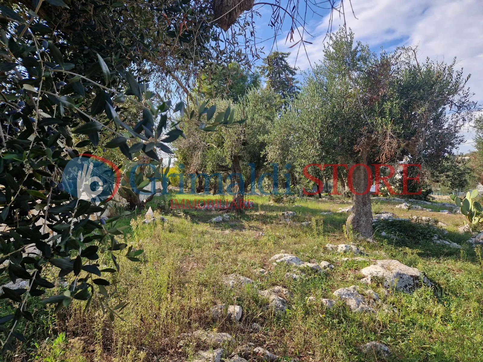 Foto 19 di 22 - Casa indipendente in vendita a Ostuni