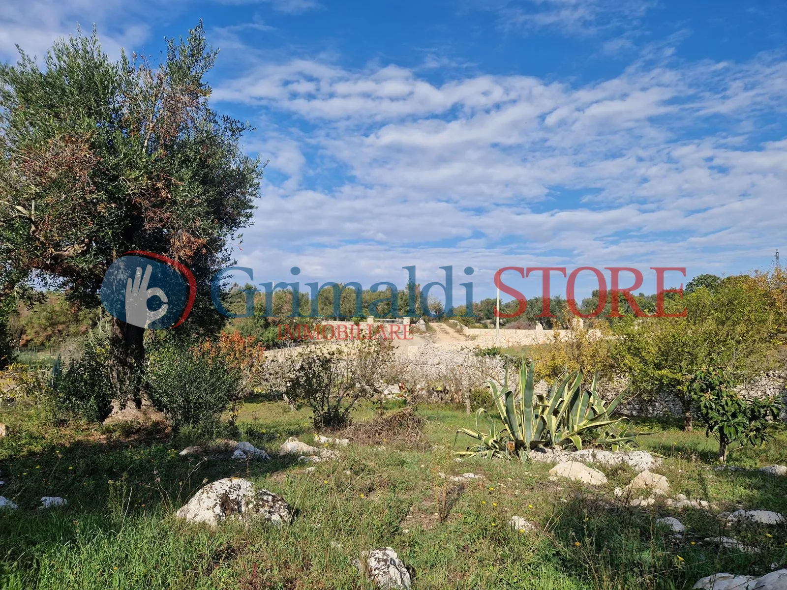 Foto 20 di 22 - Casa indipendente in vendita a Ostuni
