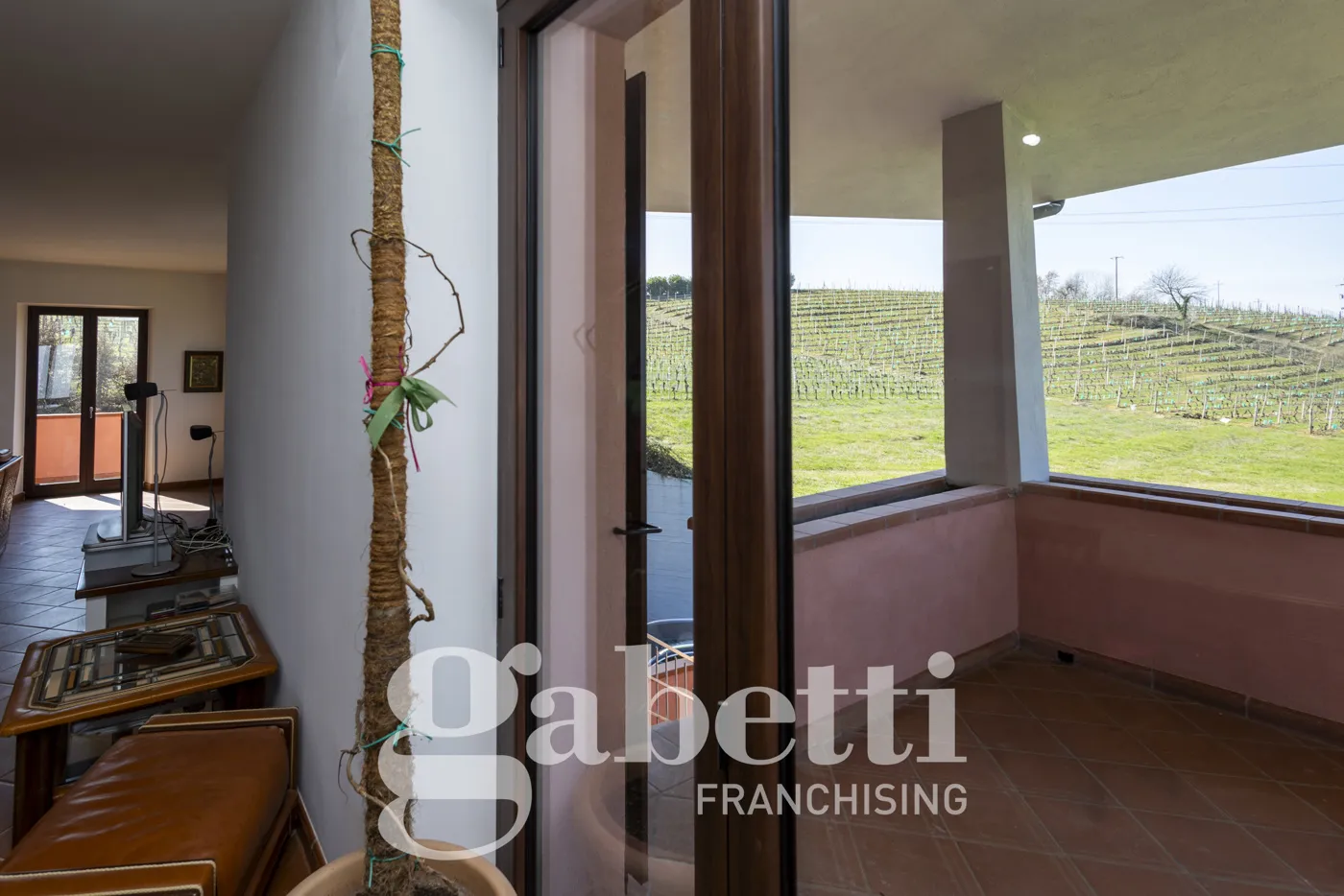 Foto 40 di 48 - Villa in vendita a Mango