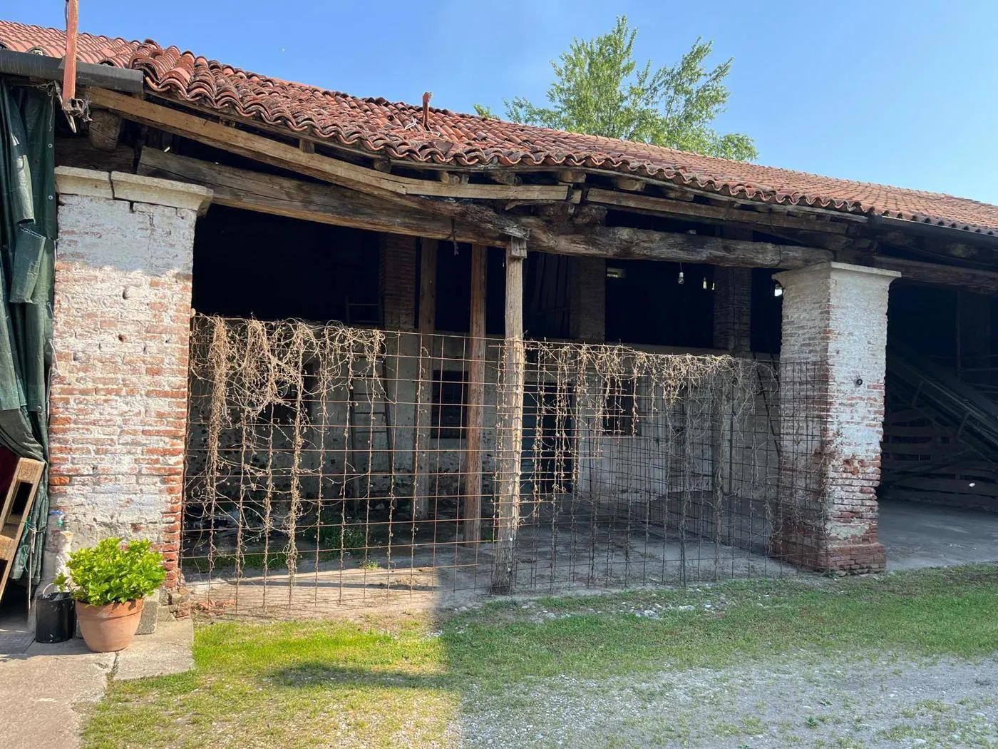 Foto 1 di 8 - Rustico in vendita a Pozzoleone