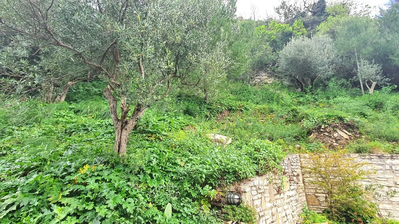 Foto 5 di 32 - Villa in vendita a Castellammare del Golfo