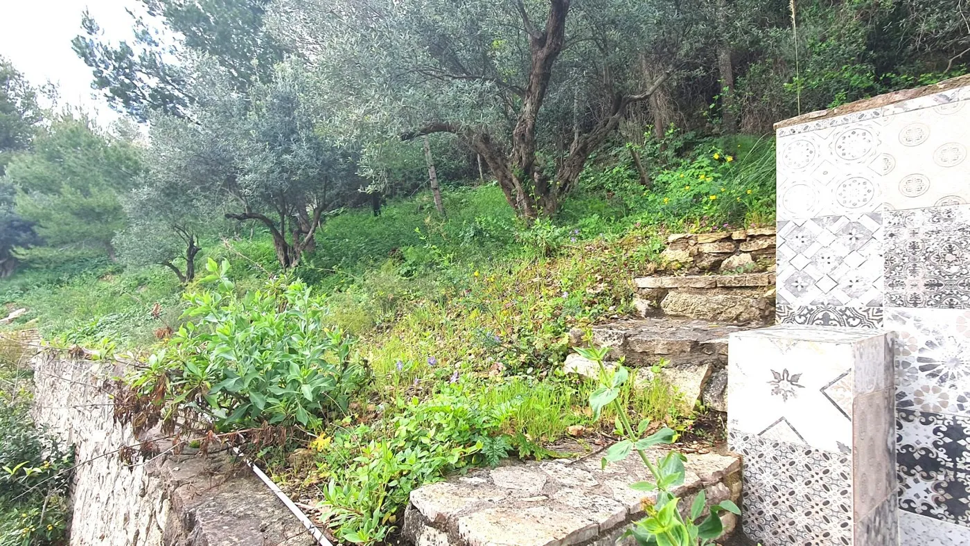 Foto 27 di 32 - Villa in vendita a Castellammare del Golfo