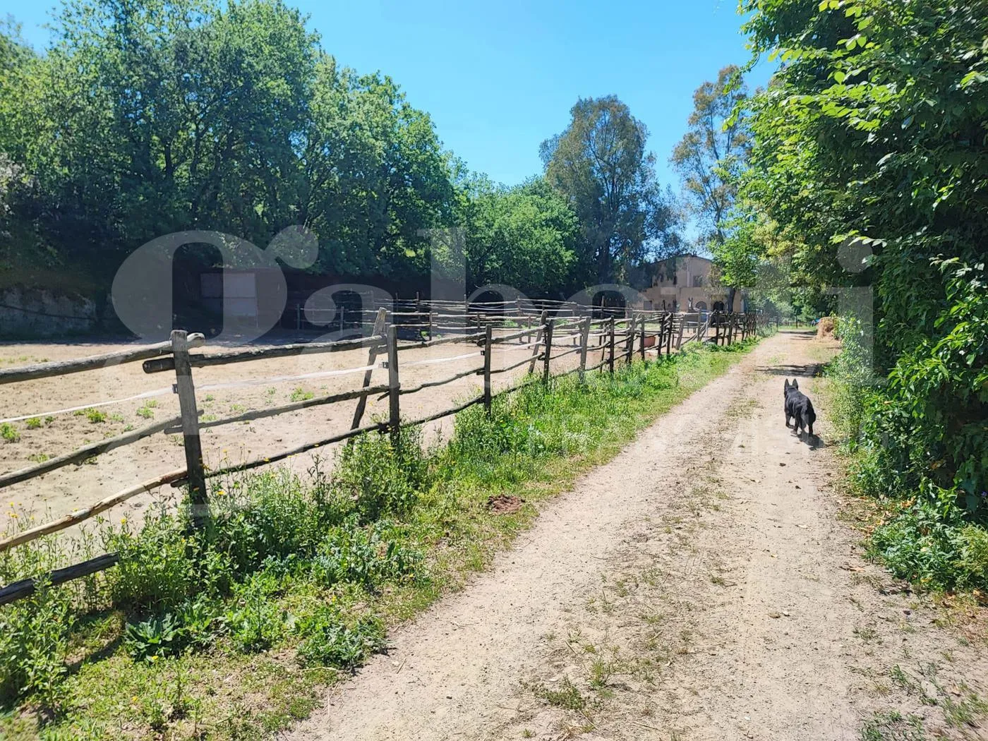 Foto 5 di 40 - Casa indipendente in vendita a Sessa Aurunca