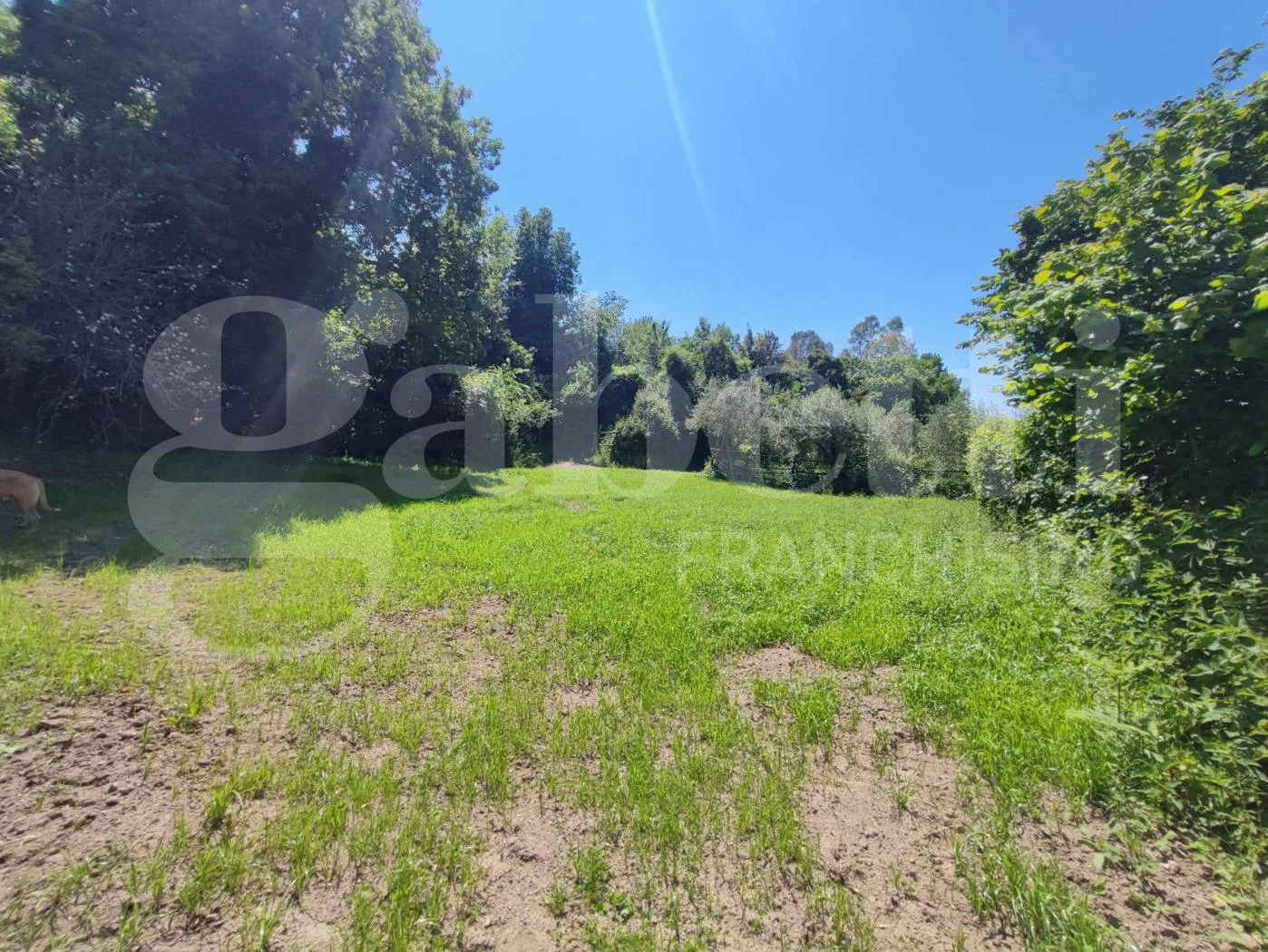 Foto 6 di 40 - Casa indipendente in vendita a Sessa Aurunca