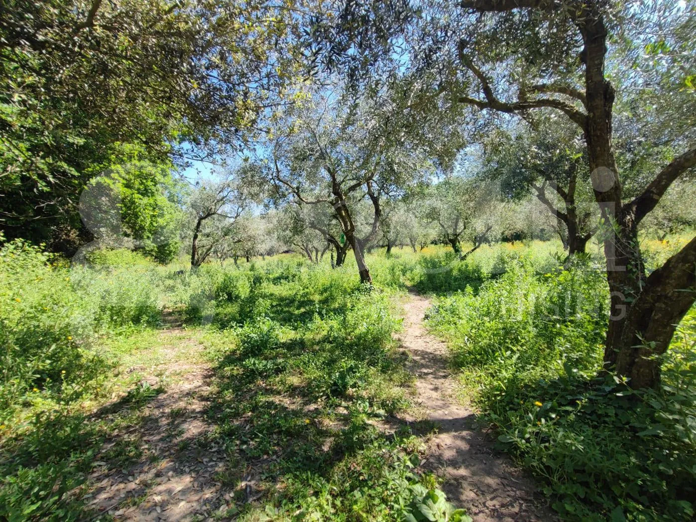Foto 8 di 40 - Casa indipendente in vendita a Sessa Aurunca