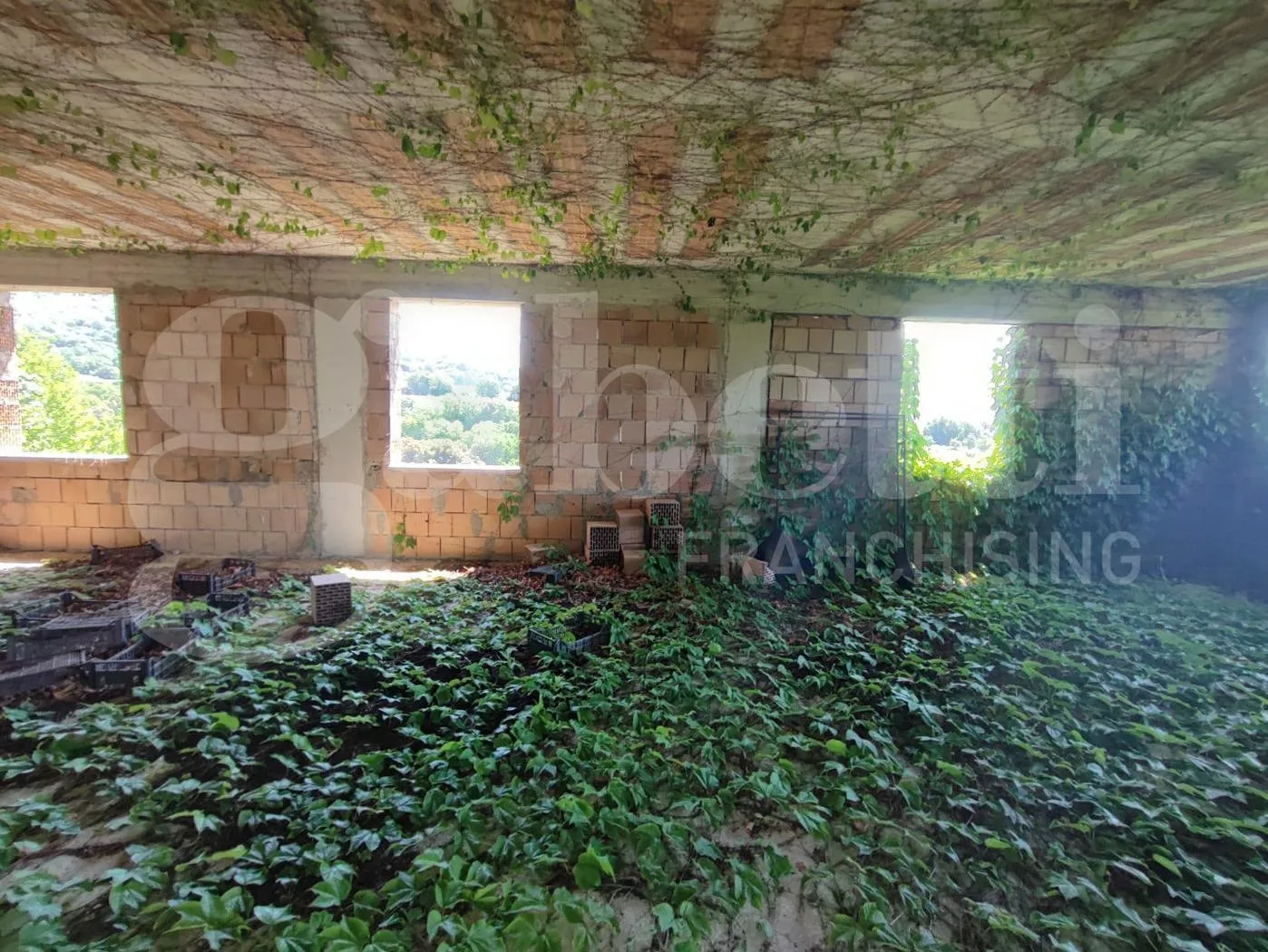 Foto 33 di 40 - Casa indipendente in vendita a Sessa Aurunca