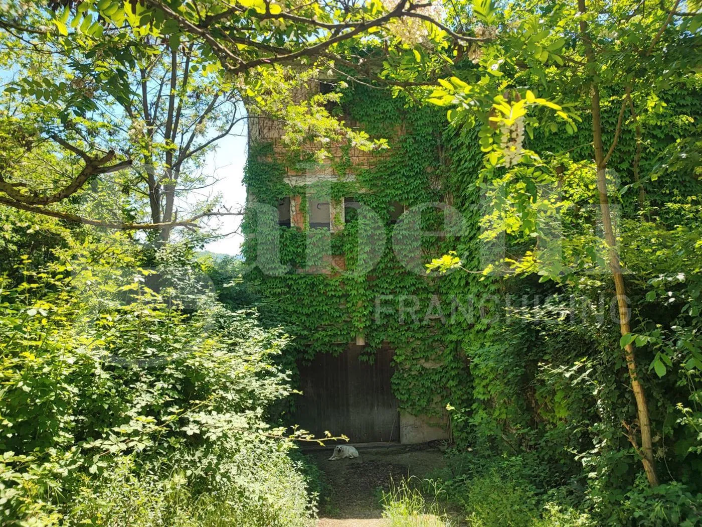 Foto 30 di 40 - Casa indipendente in vendita a Sessa Aurunca