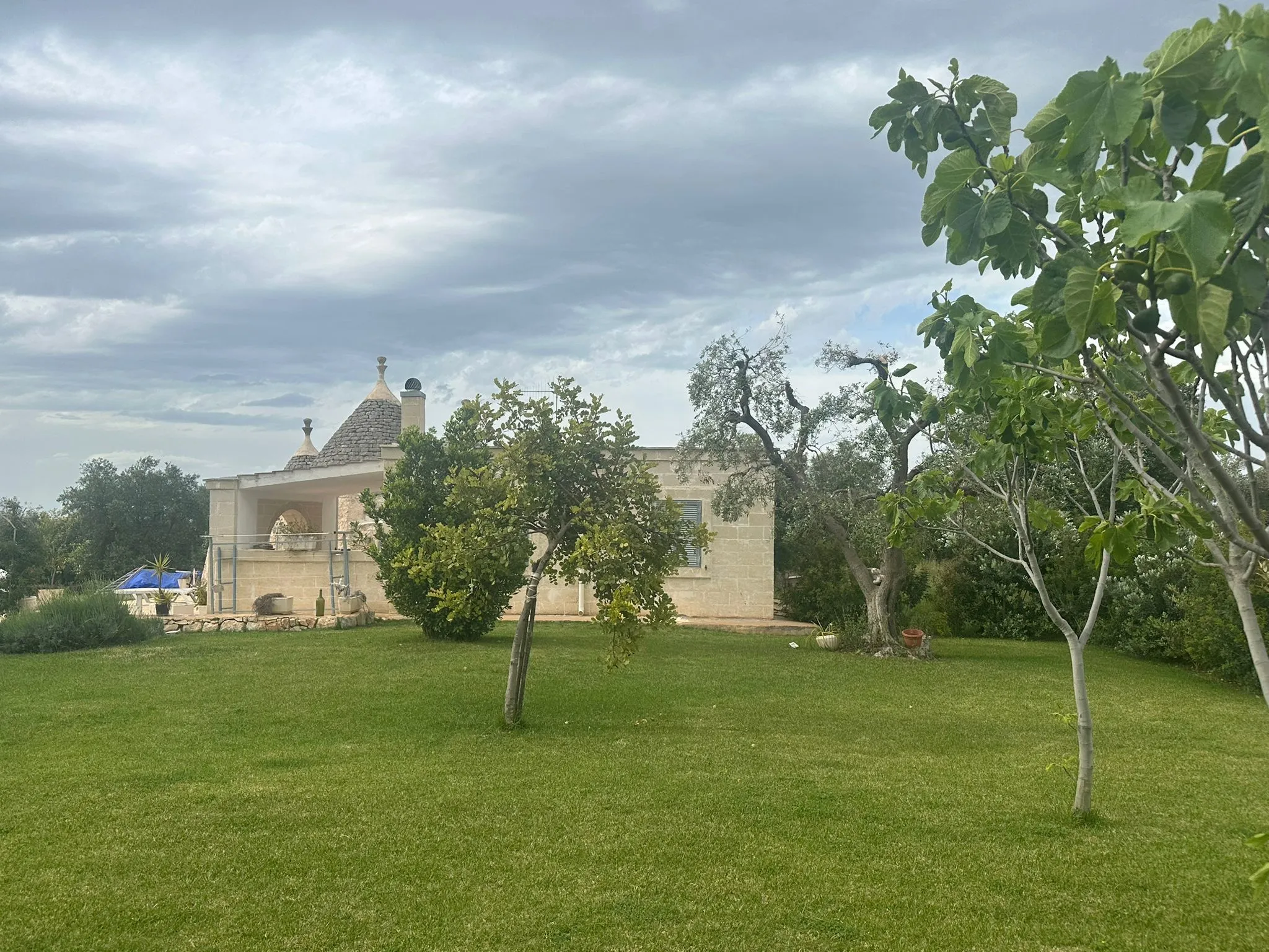 Foto 2 di 70 - Casa indipendente in vendita a Ostuni