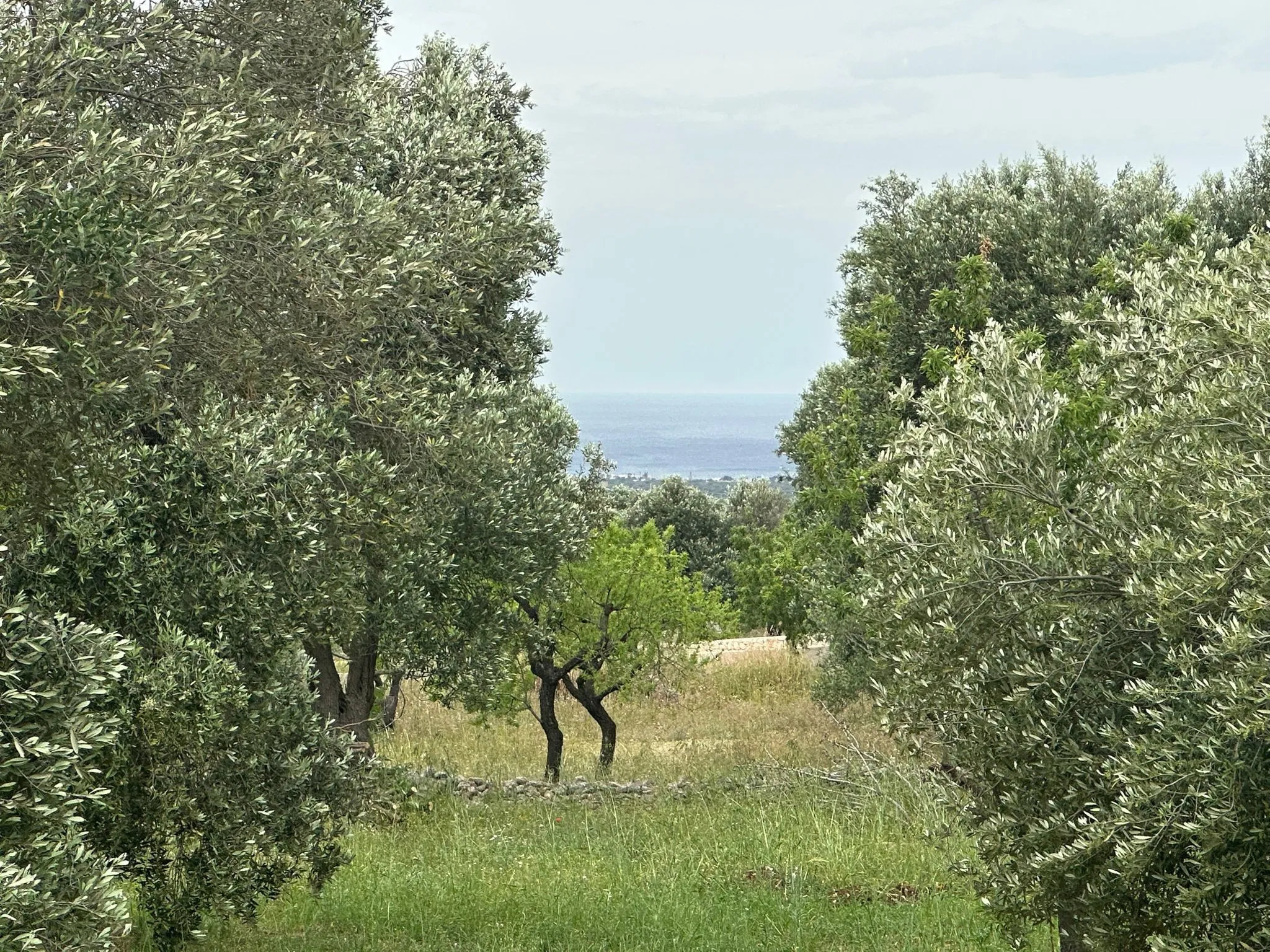 Foto 5 di 70 - Casa indipendente in vendita a Ostuni