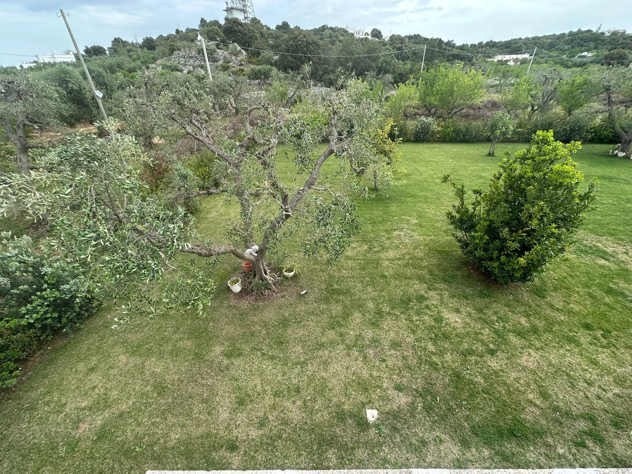 Foto 55 di 70 - Casa indipendente in vendita a Ostuni