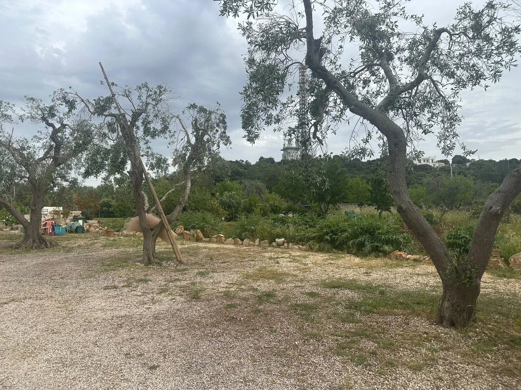 Foto 67 di 70 - Casa indipendente in vendita a Ostuni