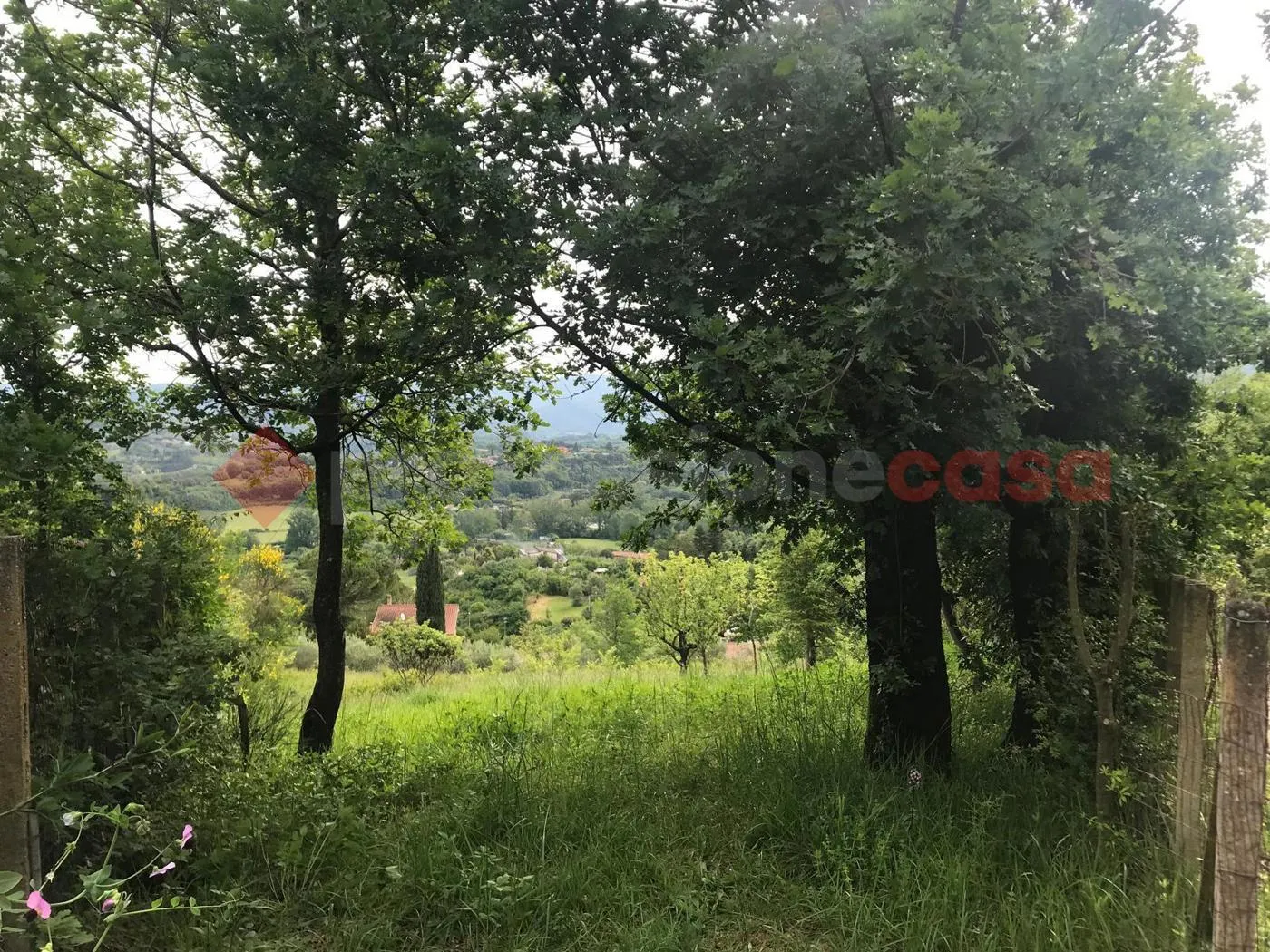 Foto 2 di 20 - Terreno in affitto a Tivoli