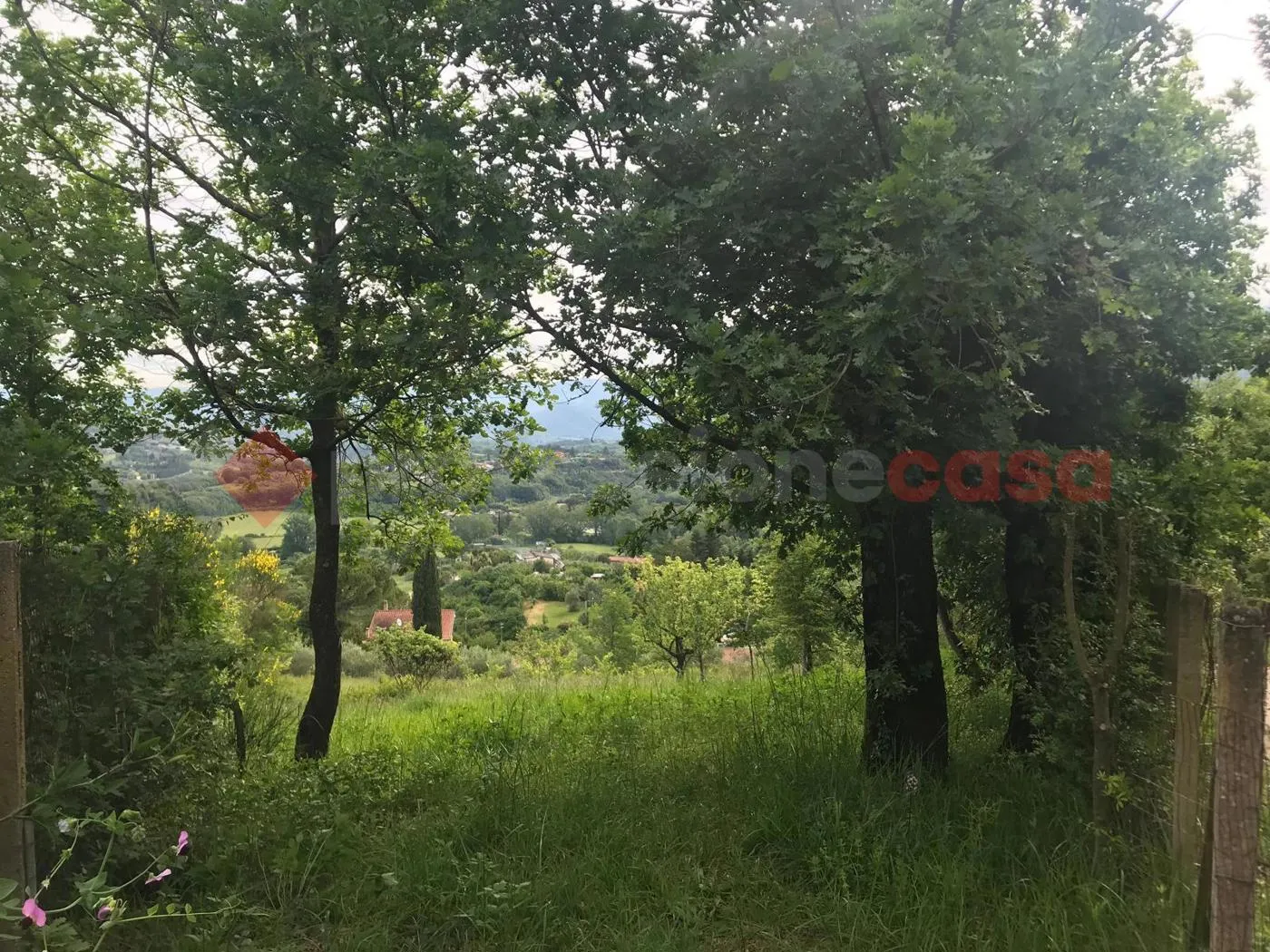 Foto 4 di 20 - Terreno in affitto a Tivoli
