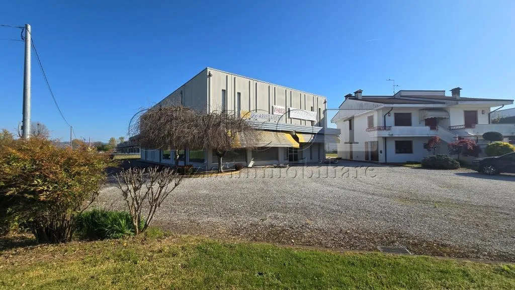 Foto 4 di 42 - Attività commerciale in vendita a Agugliaro