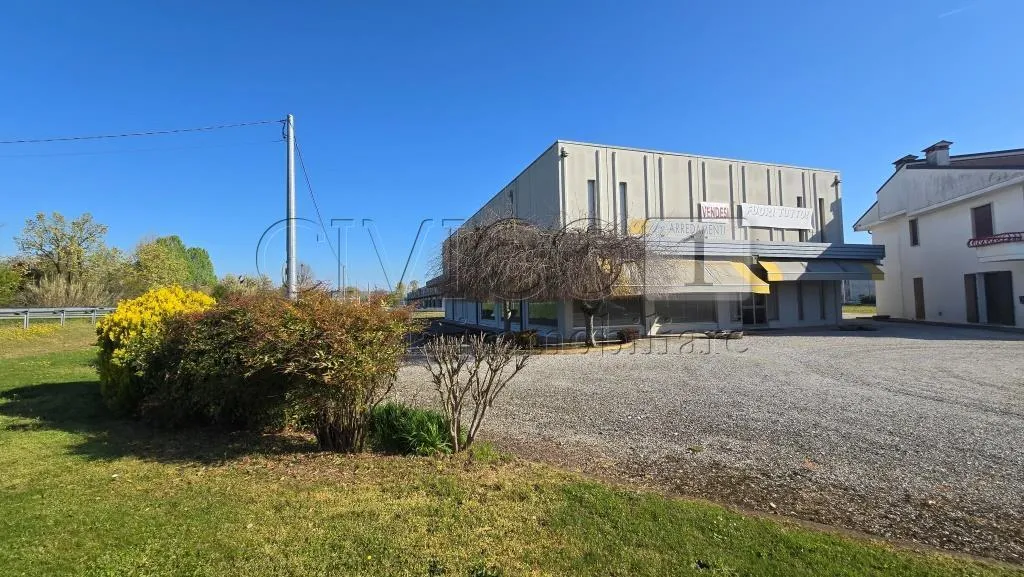 Foto 5 di 42 - Attività commerciale in vendita a Agugliaro