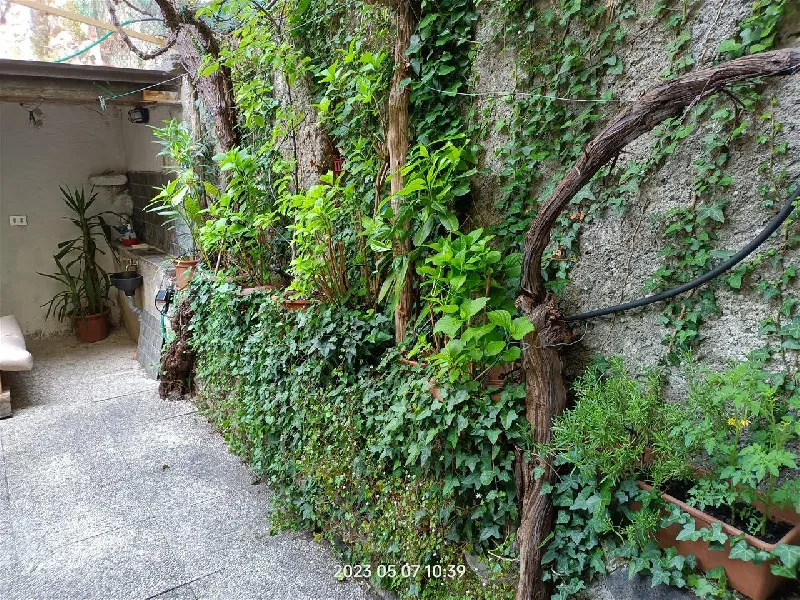 Foto 4 di 20 - Casa indipendente in affitto a San Felice del Benaco