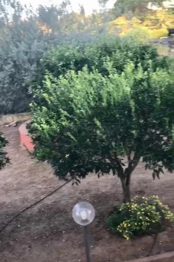 Foto 7 di 10 - Villa a schiera in vendita a Caltanissetta