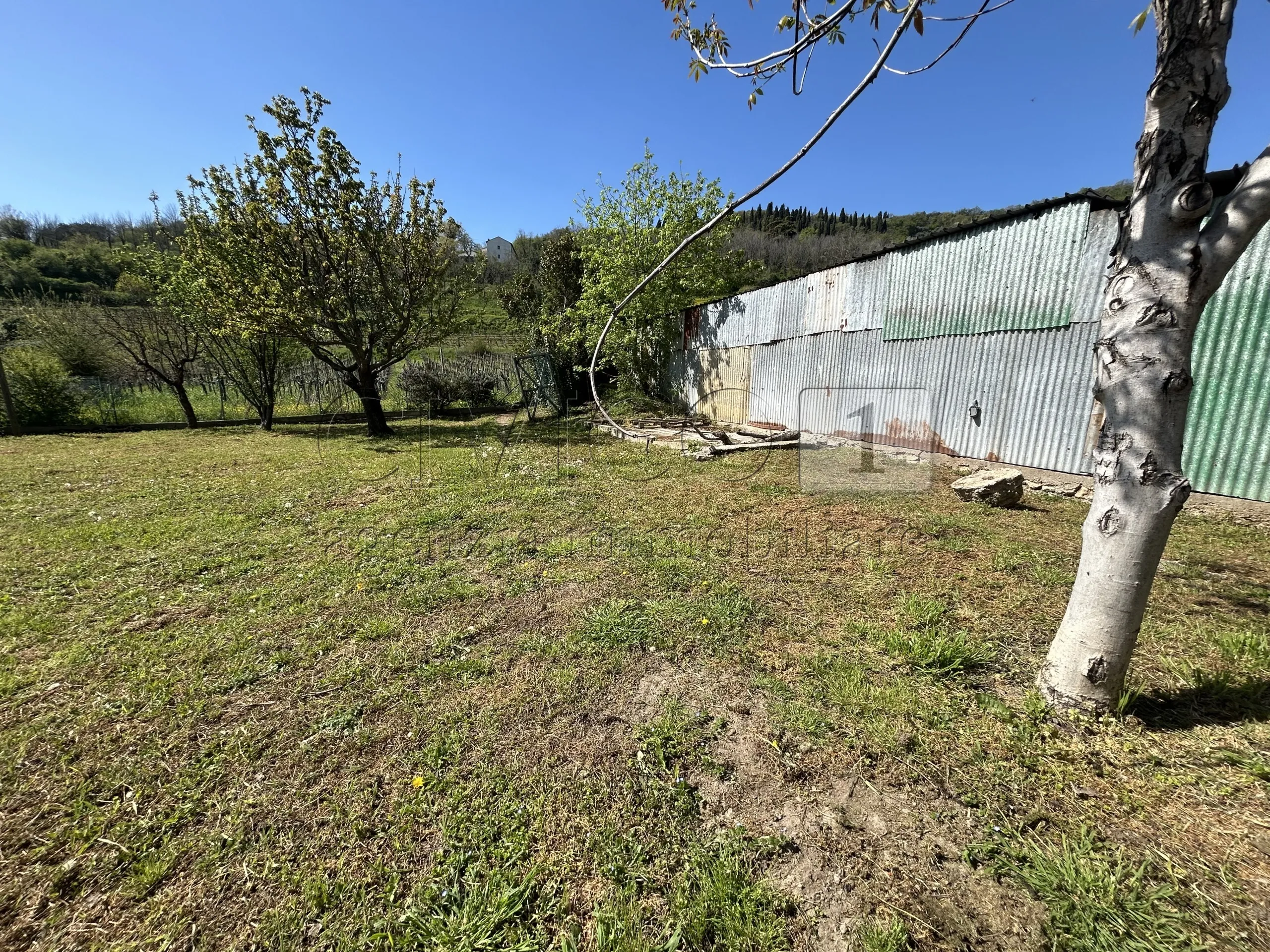 Foto 41 di 48 - Casa indipendente in vendita a Villaga