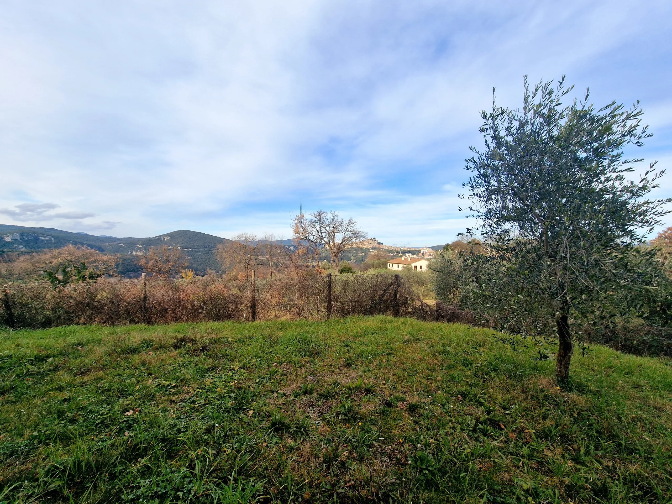 Foto 40 di 62 - Casa indipendente in vendita a Amelia