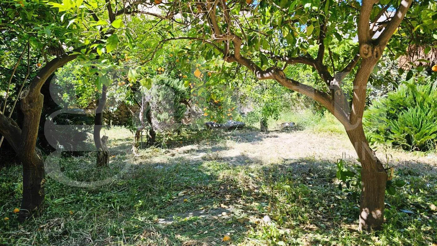 Foto 21 di 23 - Villa in vendita a Erice