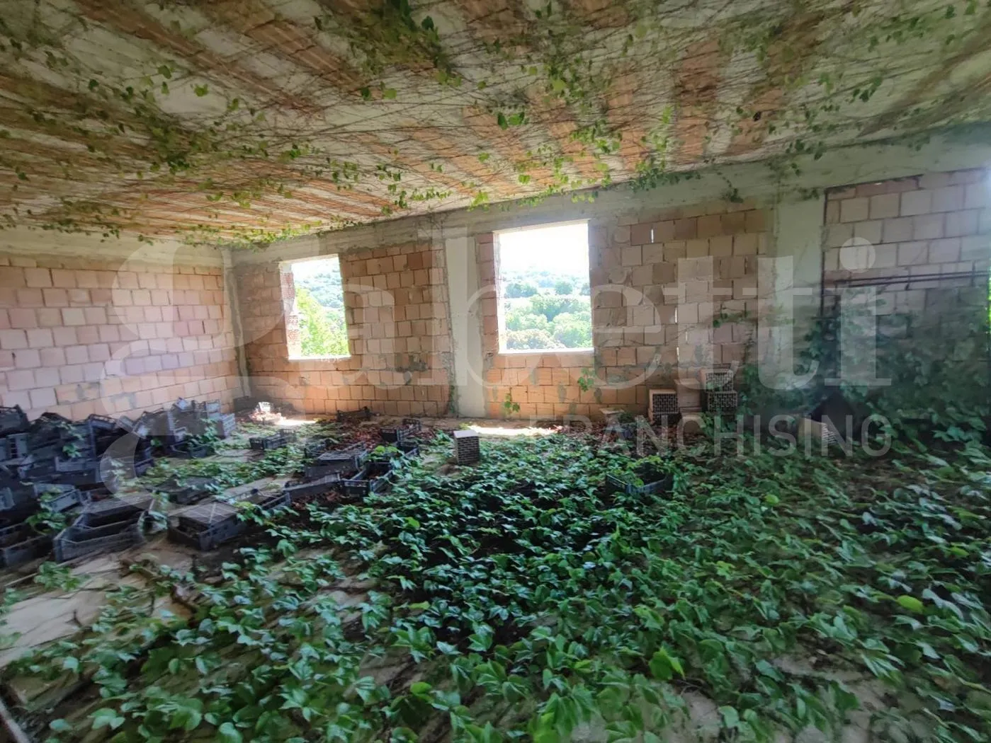 Foto 3 di 30 - Rustico in vendita a Sessa Aurunca