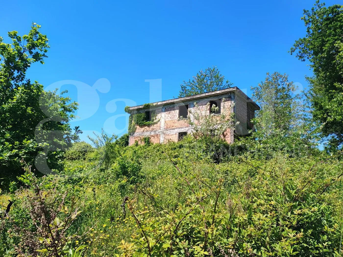 Foto 5 di 30 - Rustico in vendita a Sessa Aurunca